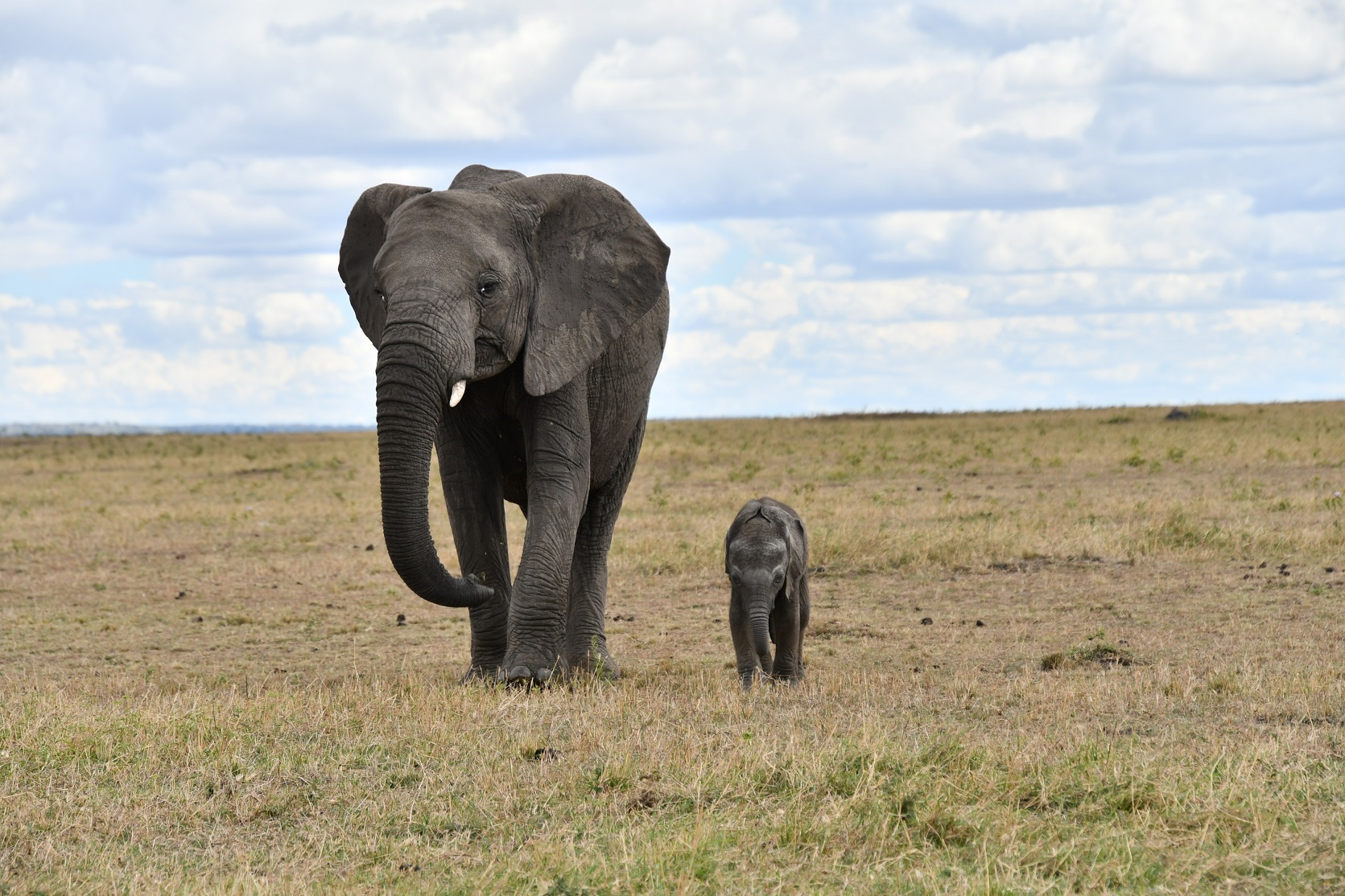 2Days-Tarangire-and-Ngorongoro-crater-Safari