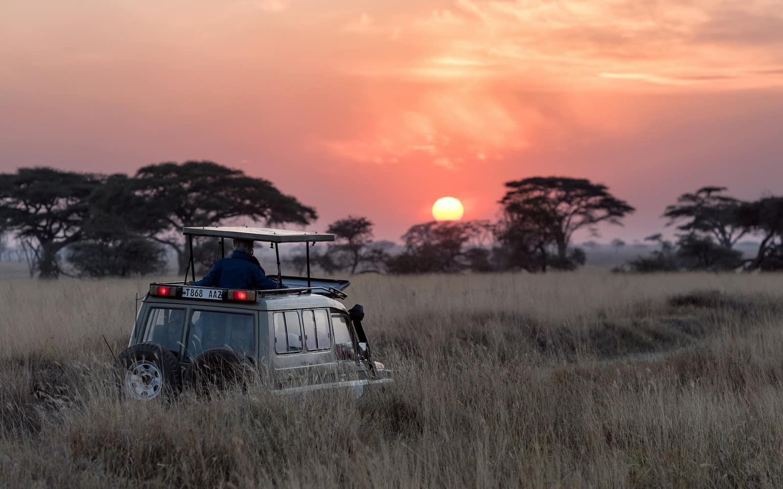 Northern Circuit Safari