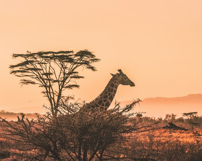 Southern Circuit Safari photo 1